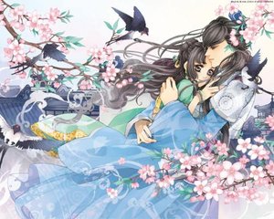 含羞草ifj11研究所入口